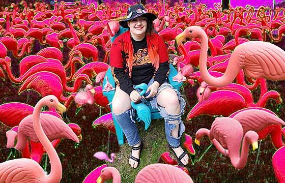 Autumn sitting amidst a flock of plastic and digital flamingos